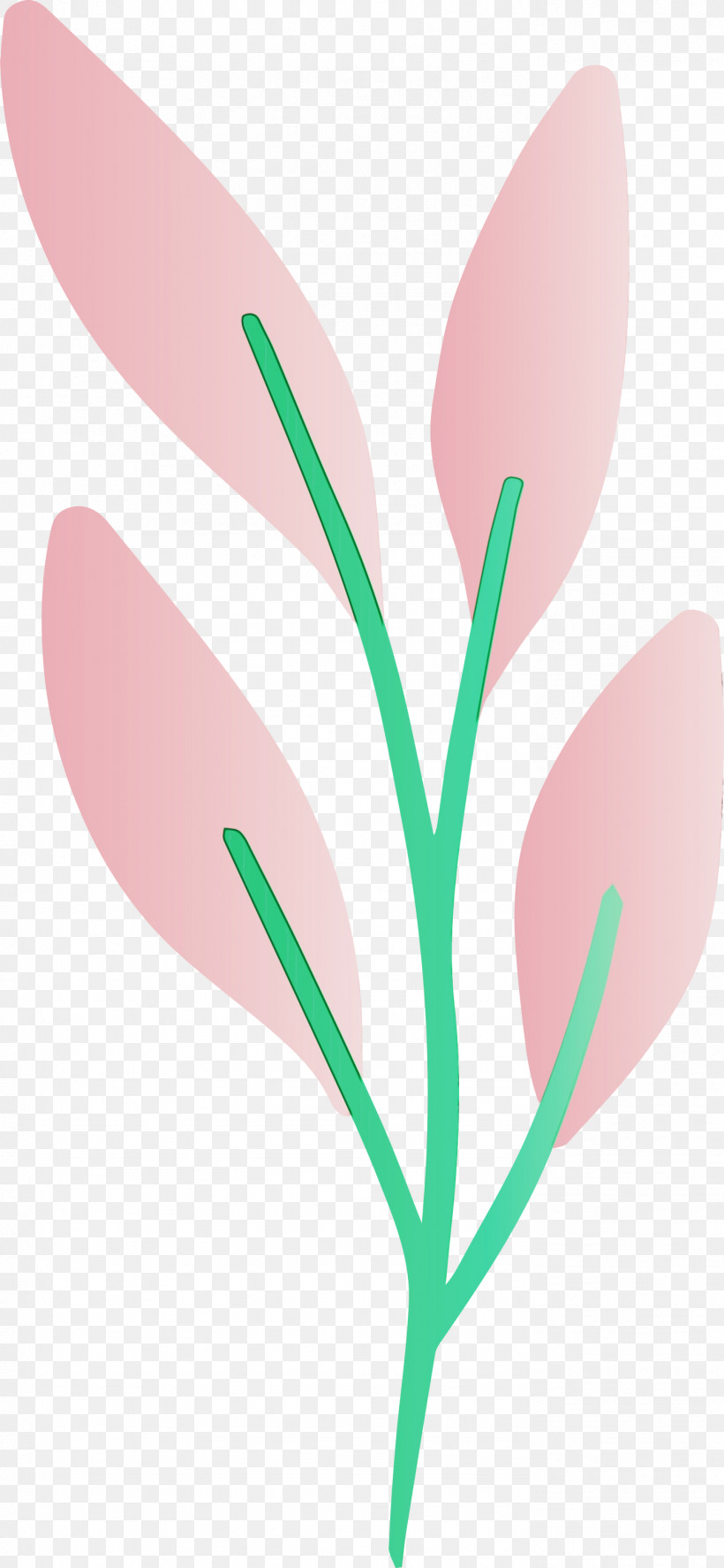 Flower Pink Leaf Plant Pedicel, PNG, 1386x3000px, Watercolor, Flower, Leaf, Paint, Pedicel Download Free