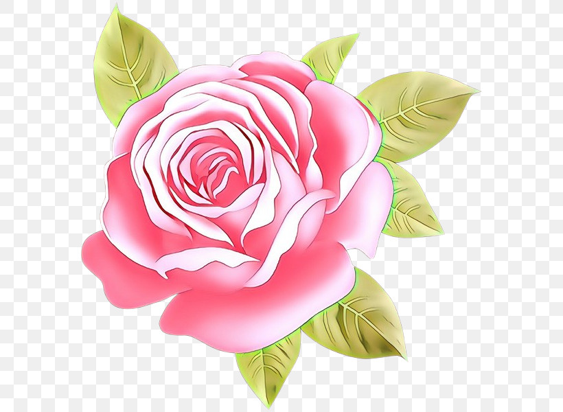 Garden Roses, PNG, 590x600px, Pink, Flower, Garden Roses, Hybrid Tea Rose, Petal Download Free