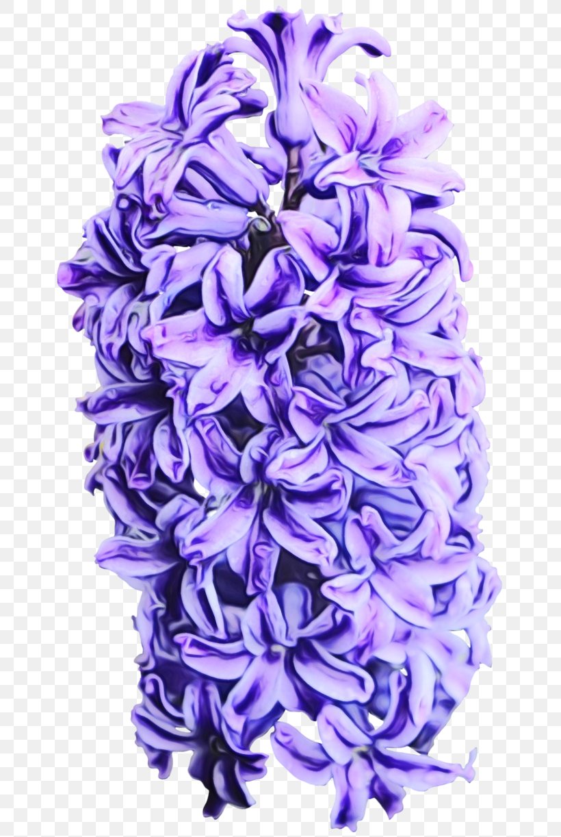 Lavender, PNG, 653x1222px, Watercolor, Cut Flowers, Flower, Flowering Plant, Hyacinth Download Free