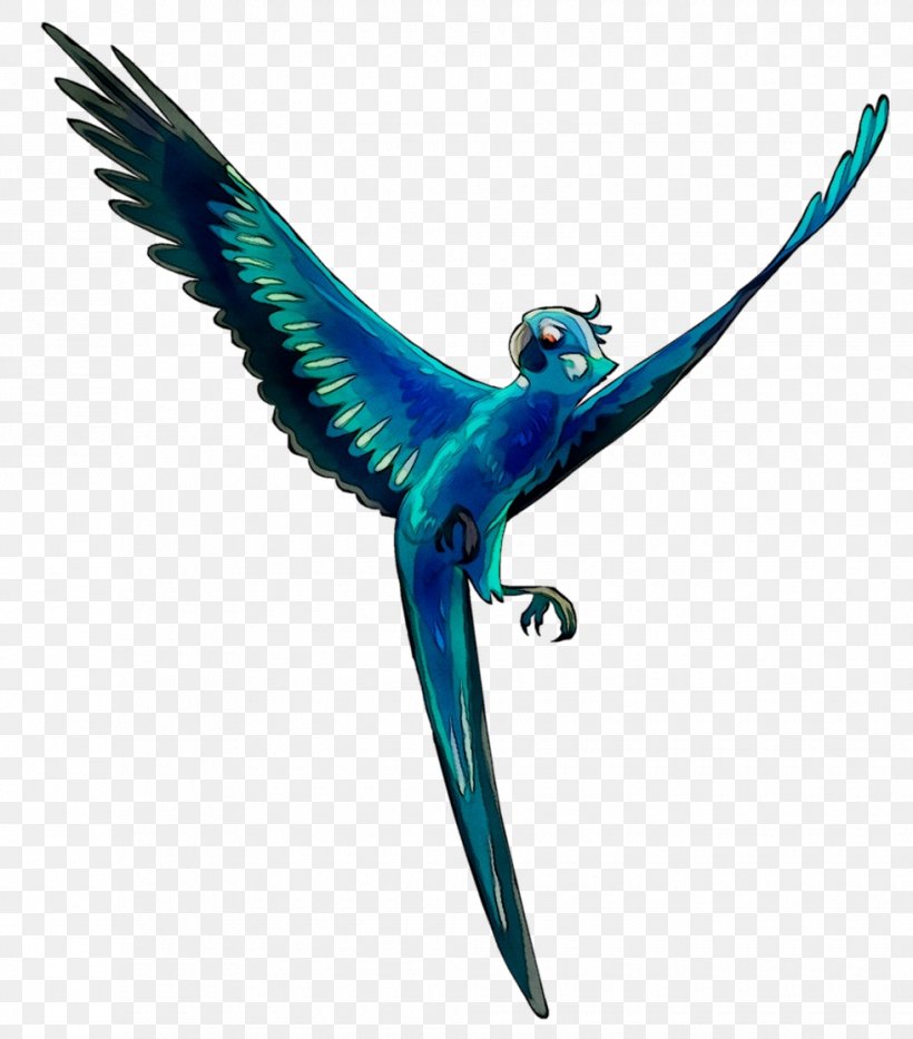 Macaw Parakeet Feather Pet Beak, PNG, 980x1116px, Macaw, Beak, Bird, Fauna, Feather Download Free