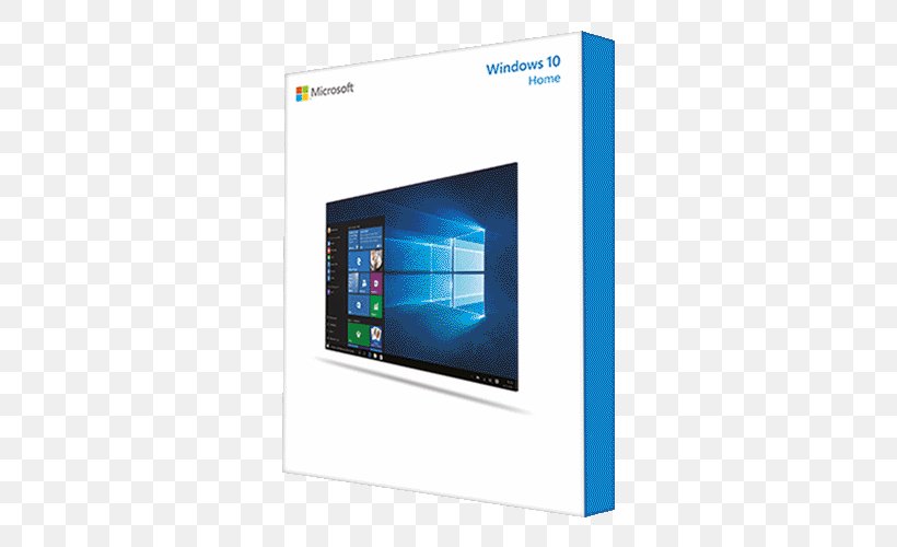 Original Equipment Manufacturer Microsoft Windows 10 64 Bit