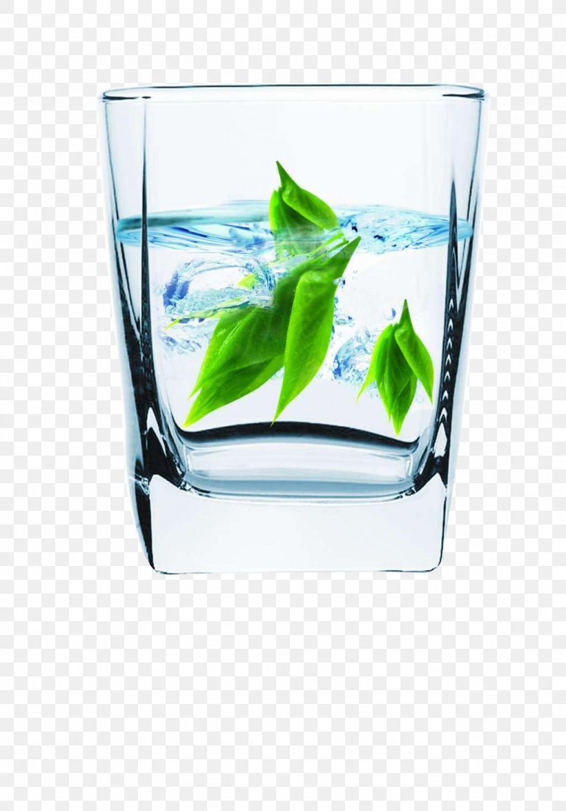 Water Filter Tea Cup Water Ionizer Glass, PNG, 1024x1468px, Water Filter, Cocktail, Cup, Distilled Beverage, Distilled Water Download Free
