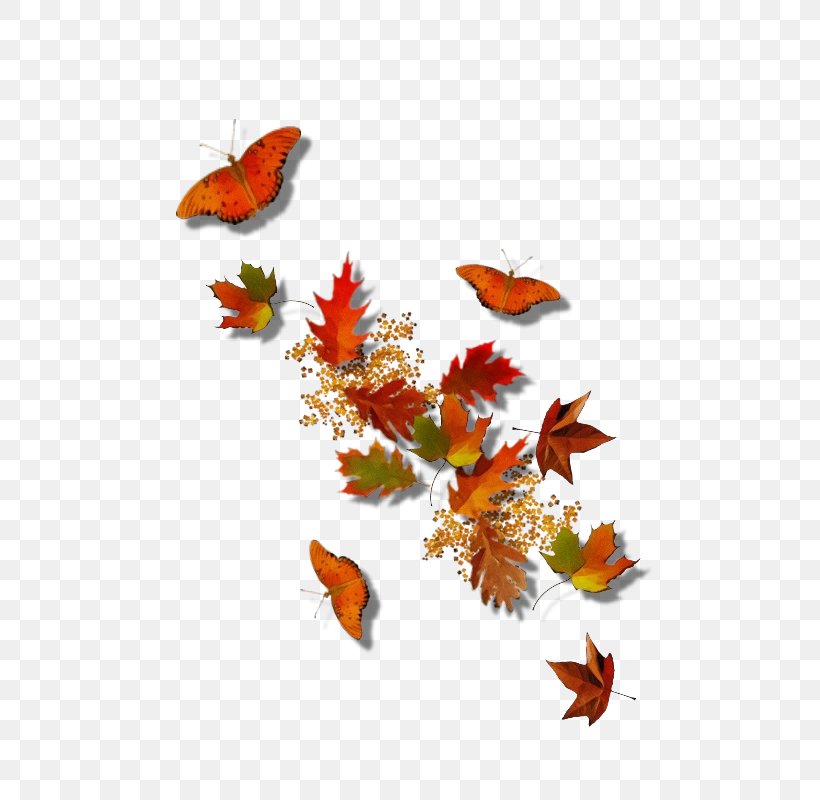 Watercolor Background Autumn Frame, PNG, 800x800px, Watercolor, Autumn, Autumn Leaf Color, Butterfly, Film Frame Download Free