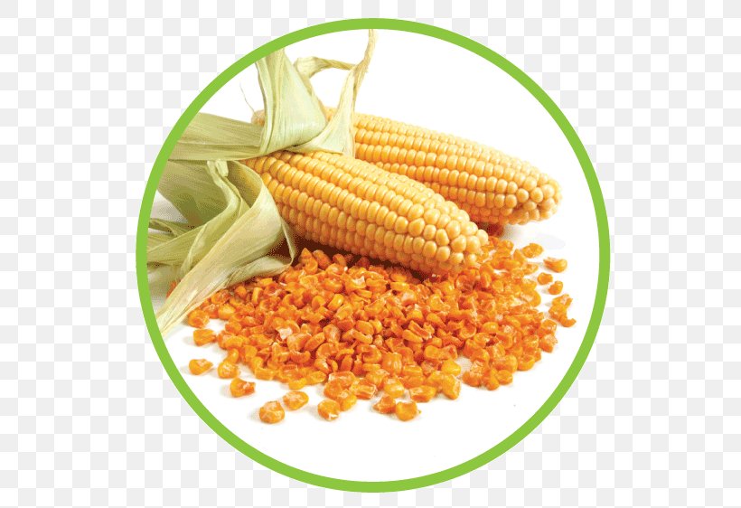 Corn On The Cob Food Maize Sweet Corn Individual Quick Freezing, PNG, 562x562px, Corn On The Cob, Commodity, Corn Kernel, Corn Kernels, Cuisine Download Free