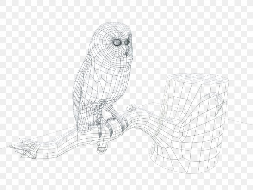 Owl Line Art Sketch, PNG, 1600x1200px, Owl, Artwork, Beak, Bird, Bird Of Prey Download Free