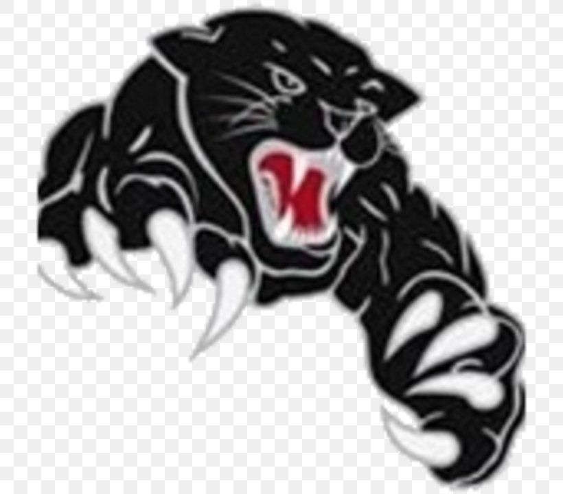 Fort Pierce Westwood High School Plymouth State University Panthers Men's Basketball Whiskers, PNG, 720x720px, Fort Pierce, Big Cats, Black Panther, Carnivoran, Cat Download Free