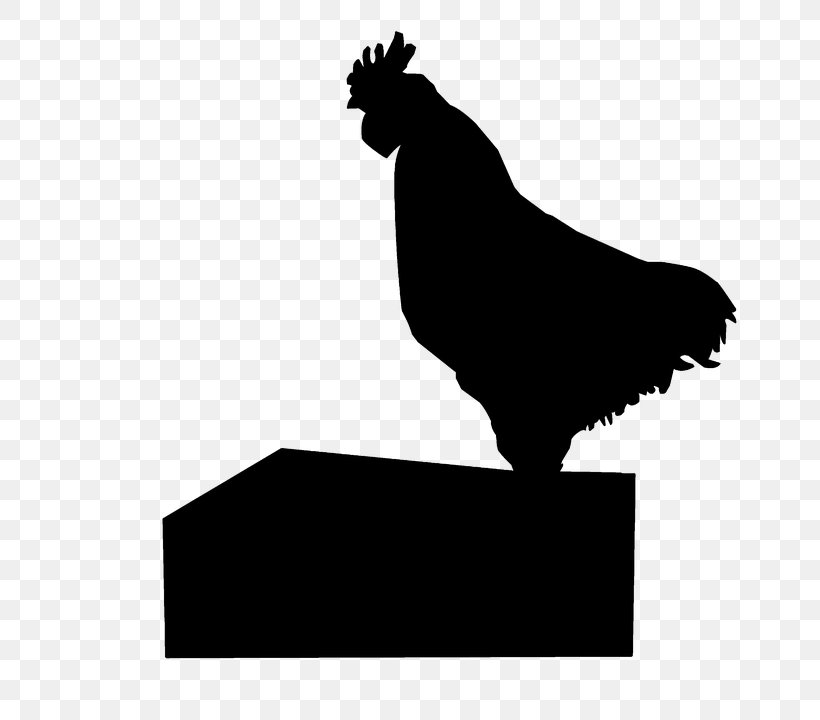 Rooster Polish Chicken Chicken As Food Poultry Farming, PNG, 720x720px, Rooster, Beak, Bird, Black, Black And White Download Free