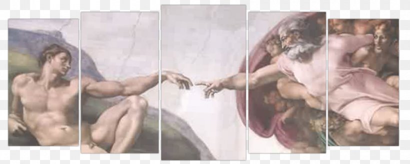 Sistine Chapel Ceiling St Peter S Basilica The Creation Of