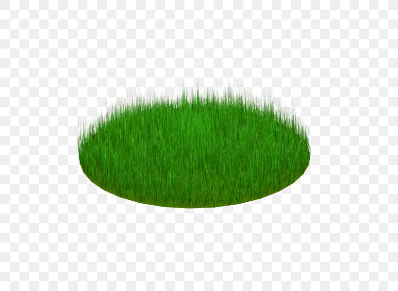 Wheatgrass, PNG, 600x600px, Wheatgrass, Grass, Grass Family, Green, Plant Download Free