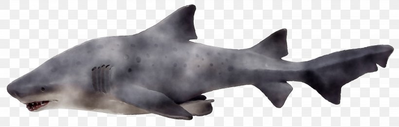 Whiskers Cat Dog Requiem Sharks, PNG, 3894x1242px, Whiskers, Animal Figure, Canidae, Cartilaginous Fish, Cat Download Free