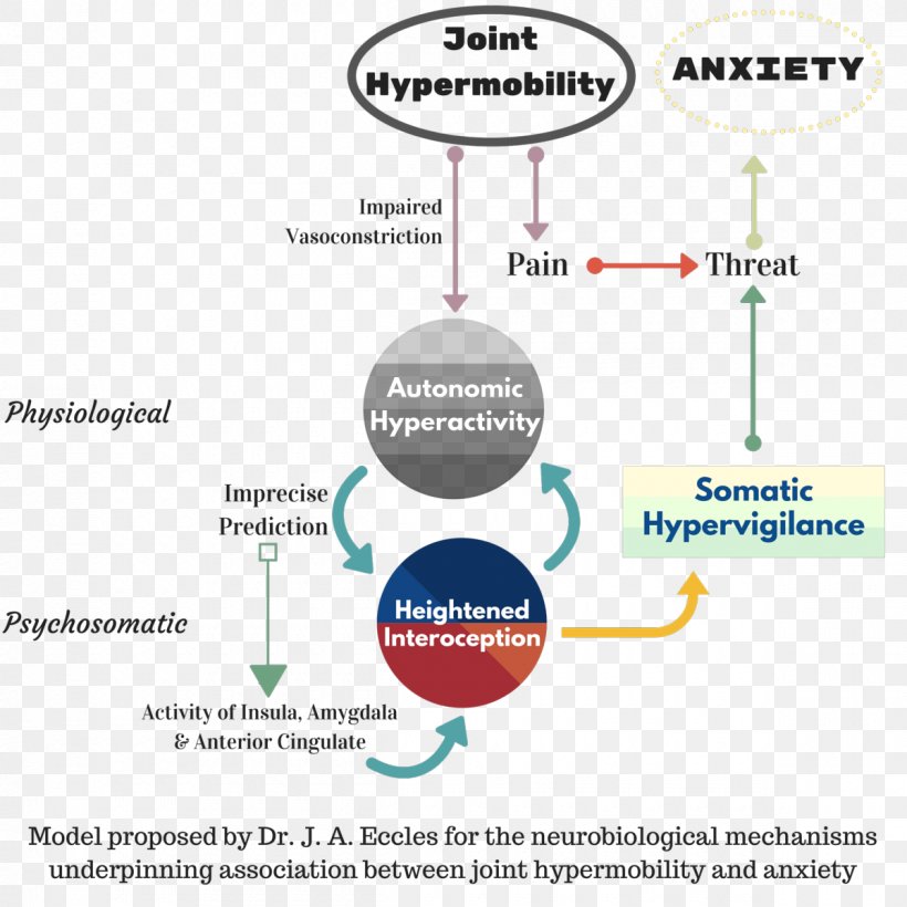 Hypermobility Joint Symptom Anxiety Disorder, PNG, 1200x1200px, Hypermobility, Amygdala, Anxiety, Anxiety Disorder, Area Download Free