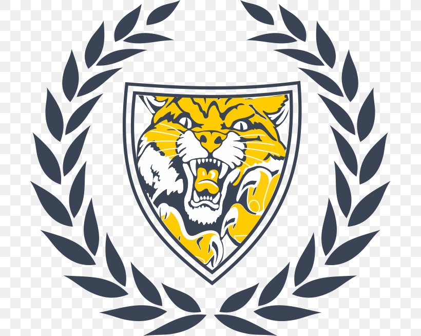 Neuqua Valley High School Metea Valley High School National Secondary School, PNG, 703x654px, Neuqua Valley High School, Art, Artwork, Beak, Brand Download Free