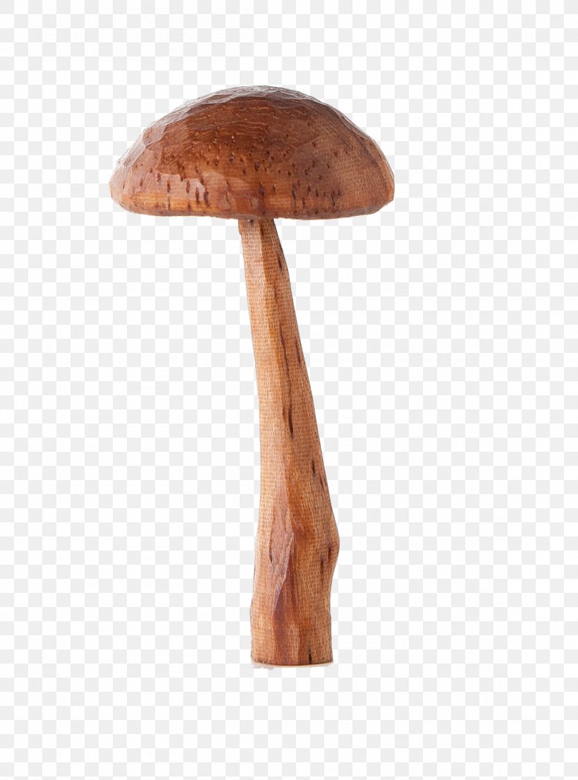 Wood Mushroom /m/083vt, PNG, 1155x1557px, Wood, Mushroom, Table Download Free