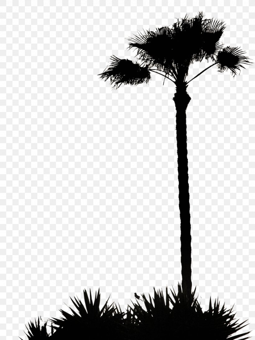 Carbon Footprint Ecological Footprint Sustainability Tree Clip Art, PNG, 900x1200px, Carbon Footprint, Arecaceae, Arecales, Black And White, Borassus Flabellifer Download Free
