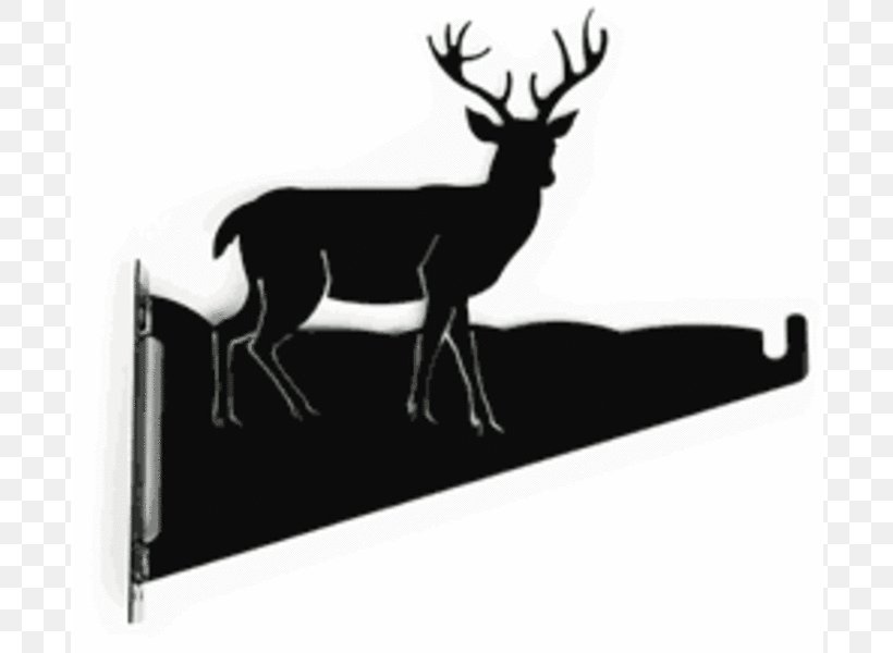 Deer Barasingha Clip Art, PNG, 800x600px, Deer, Antler, Art, Barasingha, Decal Download Free