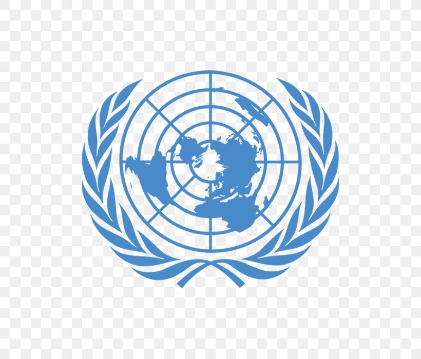 Flag Of The United Nations Model United Nations United Nations System Human Rights, PNG, 700x700px, United Nations, Blue And White Porcelain, Flag Of The United Nations, Human Rights, Law Download Free
