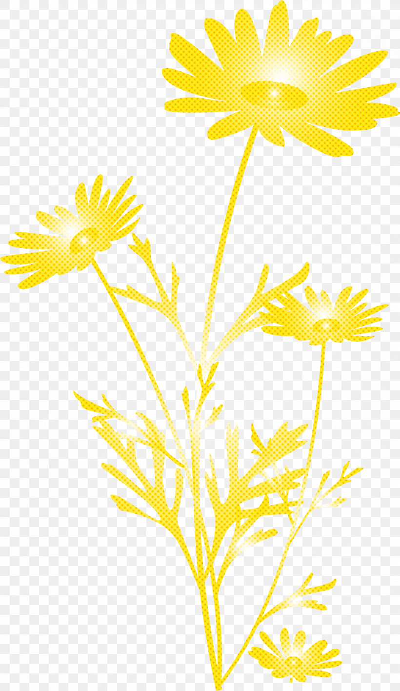 Marguerite Flower Spring Flower, PNG, 1736x2999px, Marguerite Flower, Chamomile, Dandelion, Flower, Mayweed Download Free