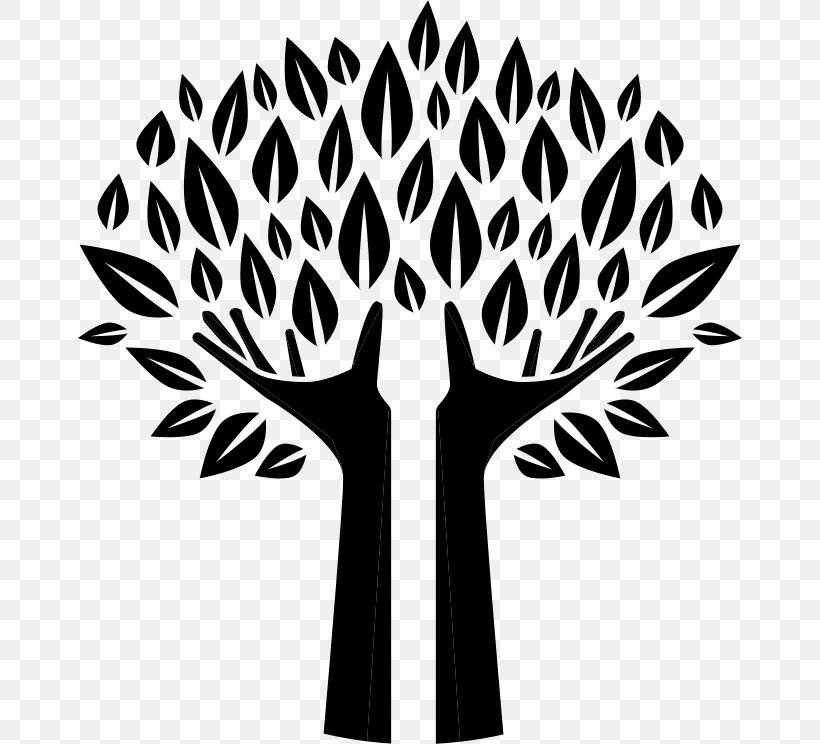 Tree Silhouette Clip Art, PNG, 666x744px, Tree, Autocad Dxf, Black And White, Branch, Flower Download Free