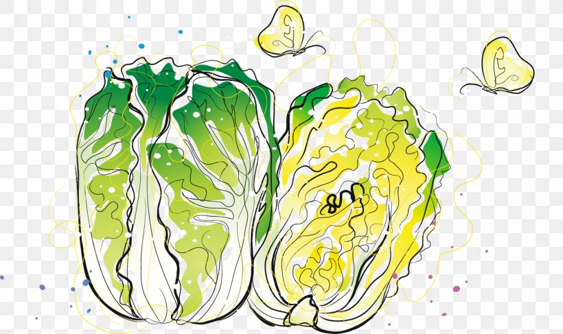 Chinese Cabbage Vegetable, PNG, 1393x829px, Cabbage, Art, Auglis, Broccoli, Cartoon Download Free