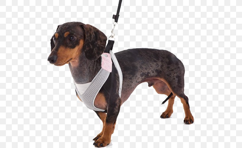 Dachshund Dog Harness Doggles Horse Harnesses, PNG, 500x500px, Dachshund, Carnivoran, Clothing, Coat, Collar Download Free