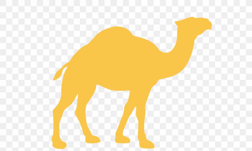 Dromedary Silhouette, PNG, 1000x600px, Dromedary, Arabian Camel, Camel, Camel Like Mammal, Cartoon Download Free