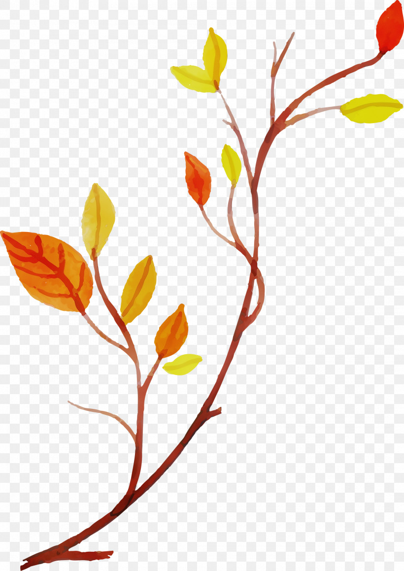 Floral Design, PNG, 2122x3000px, Watercolor Autumn, Biology, Cut Flowers, Floral Design, Flower Download Free