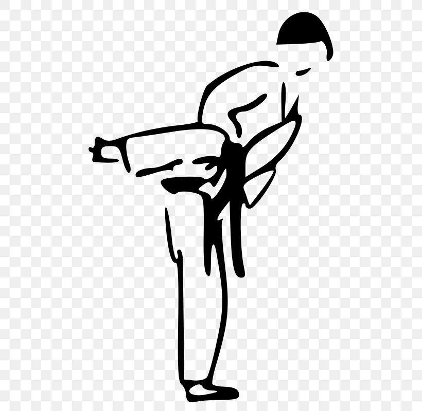 Karate Martial Arts Taekwondo Clip Art, PNG, 511x800px, Karate, Area, Arm, Artwork, Black Download Free