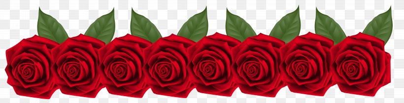 Red Flower Clip Art, PNG, 8000x2058px, Red, Beach Rose, Color, Digital Image, Flower Download Free