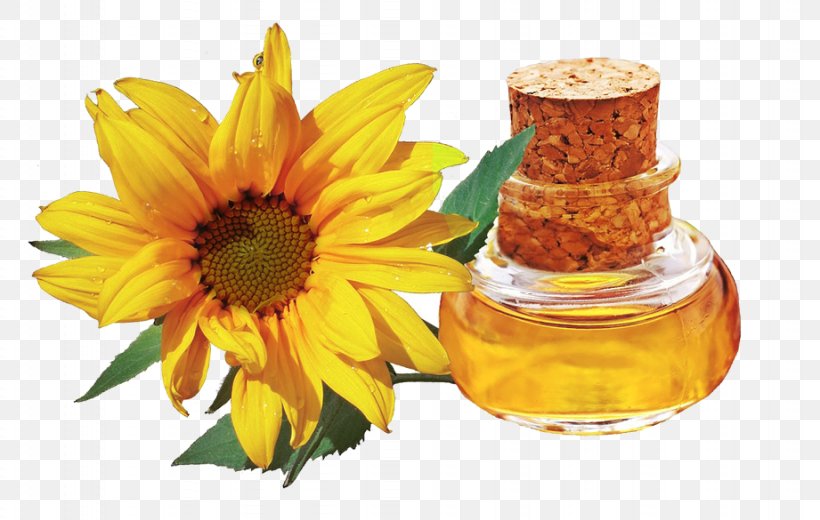 Sunflower Oil Peanut Oil Health Skin, PNG, 921x585px, Oil, Avocado Oil, Canola, Coconut Oil, Deep Frying Download Free