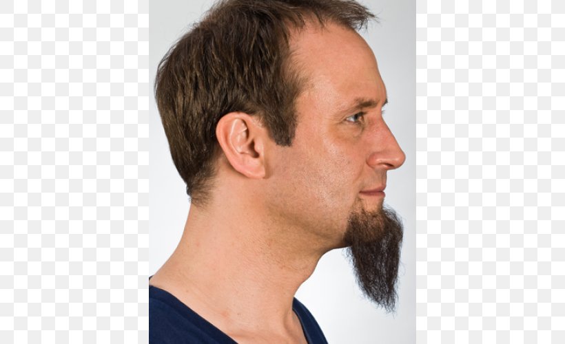 Beard Chin Goatee Facial Hair Sideburns, PNG, 500x500px, Beard, Cheek, Chin, Chinstrap Beard, Ear Download Free