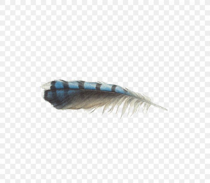 Feather, PNG, 1000x873px, Feather, Blue, Wing Download Free