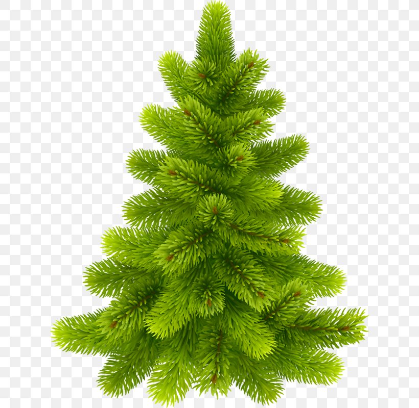 Pine Fir Tree Clip Art, PNG, 624x800px, Pine, Biome, Christmas Decoration, Christmas Ornament, Christmas Tree Download Free