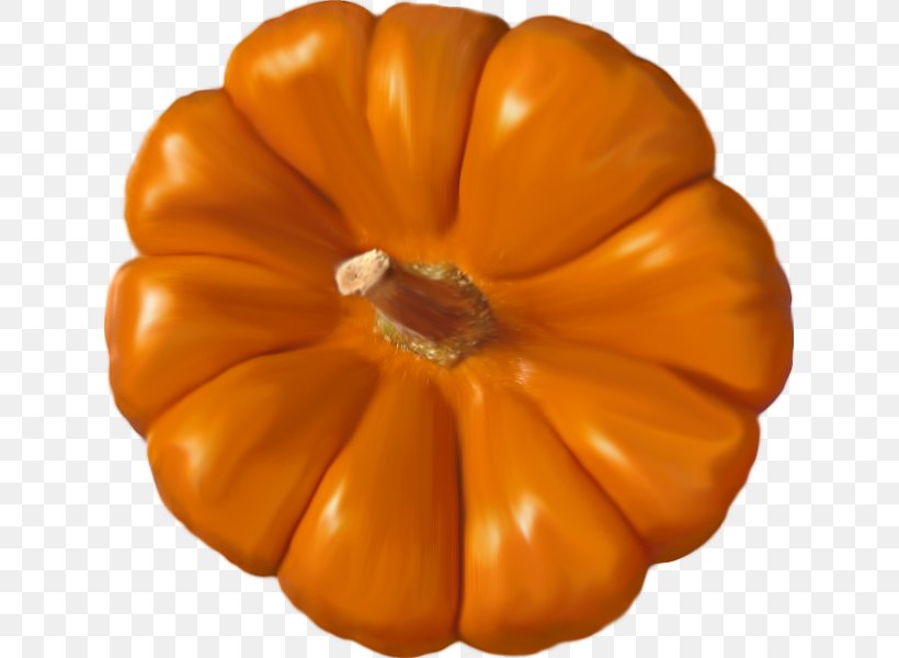 Pumpkin Calabaza, PNG, 629x600px, Pumpkin, Calabaza, Cucumber Gourd And Melon Family, Cucurbita, Orange Download Free