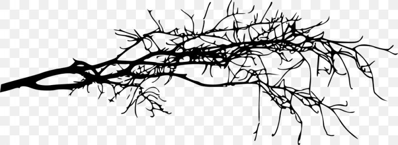 Clip Art Branch Silhouette Tree, PNG, 1024x375px, Branch, Art, Blackandwhite, Botany, Drawing Download Free