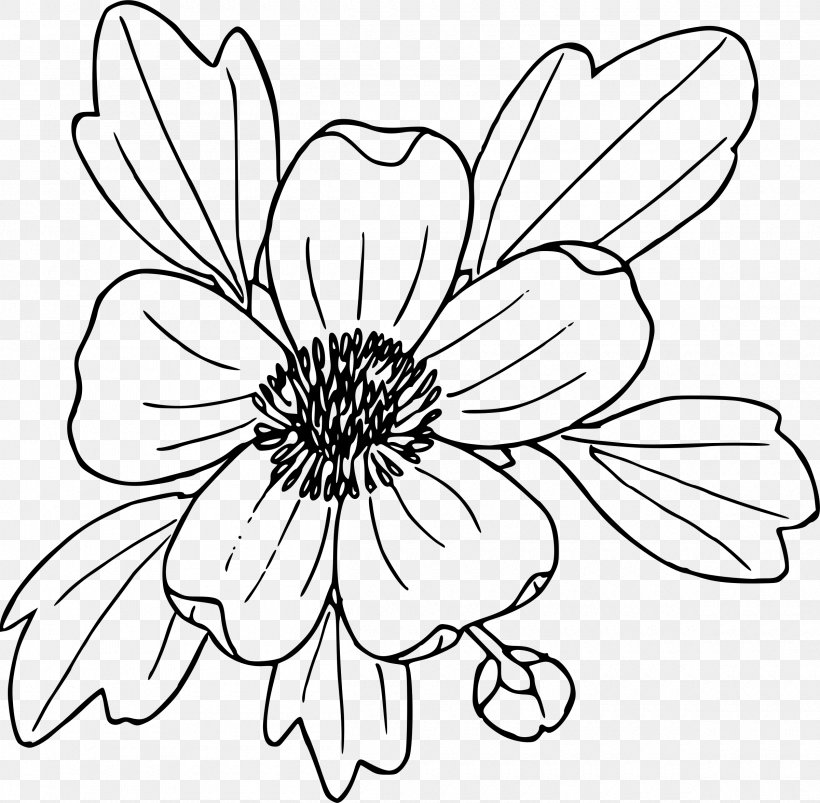 Flower Coloring Book Drawing Clip Art, PNG, 2400x2351px, Flower, Artwork, Black And White, Buttercup, Color Download Free