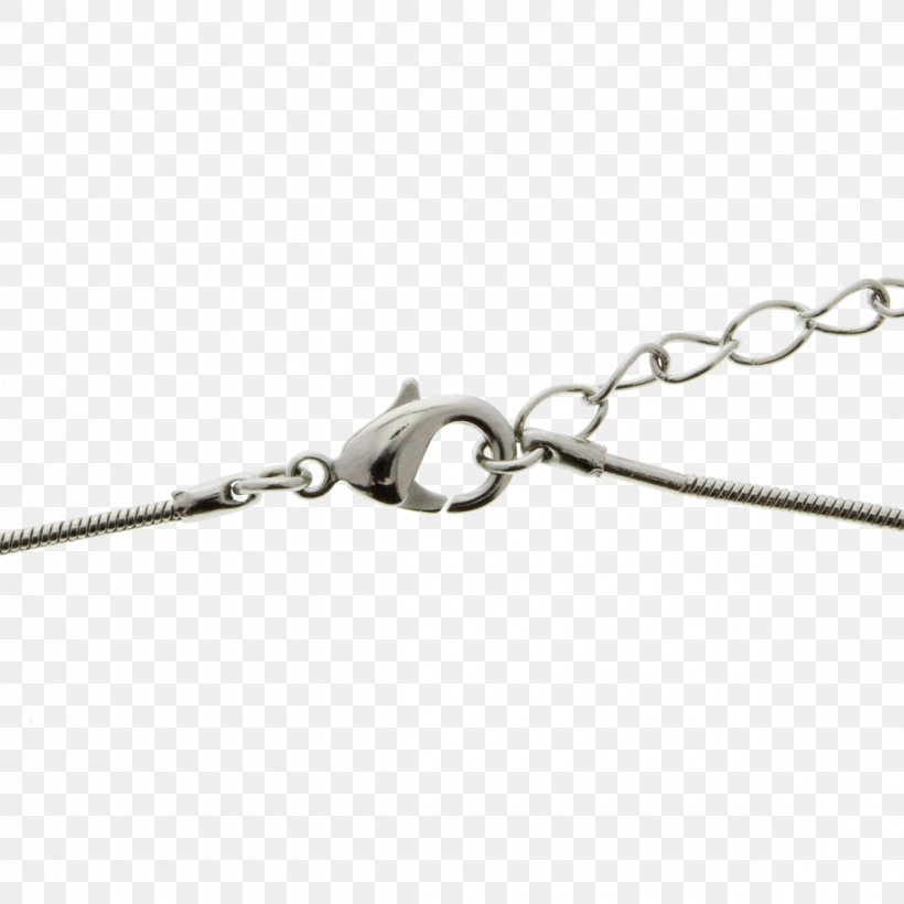 Jewellery Chain Clothing Accessories Charms & Pendants Swarovski AG, PNG, 1200x1200px, Jewellery, Bijou, Body Jewelry, Bracelet, Chain Download Free