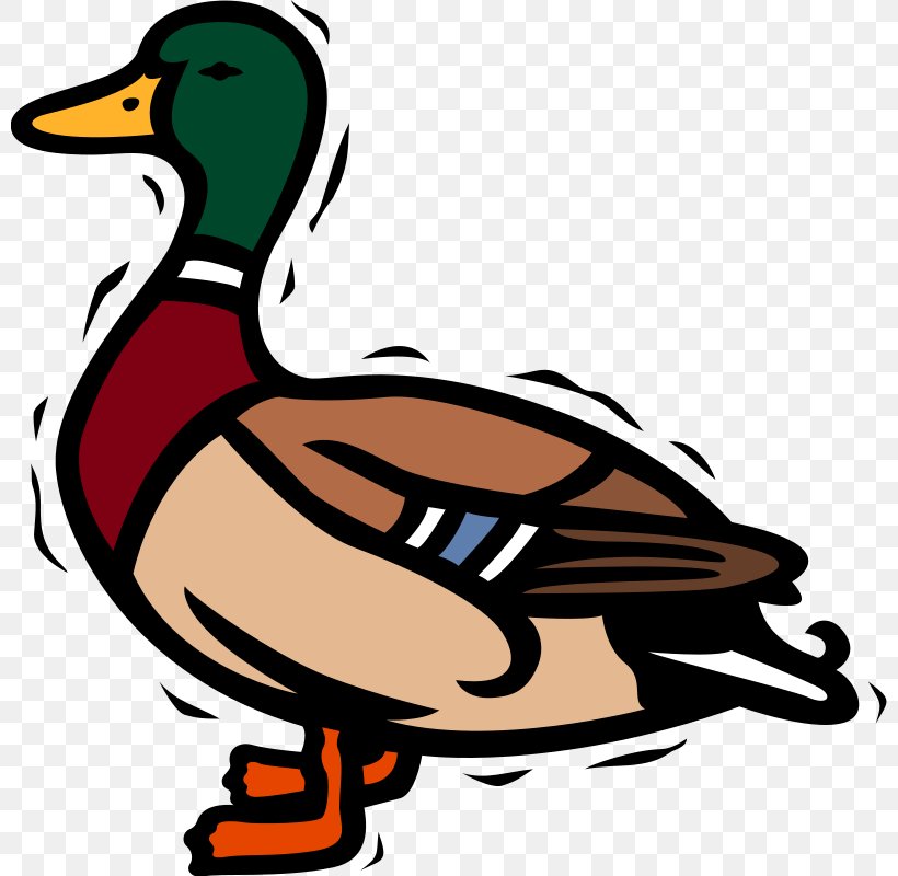 Mallard Duck Clip Art, PNG, 800x800px, Mallard, Artwork, Beak, Bird, Duck Download Free