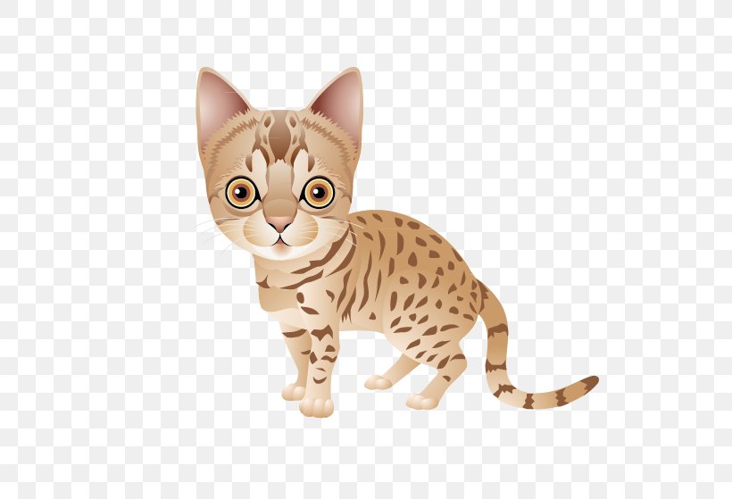 Felix The Cat Kitten Felidae, PNG, 624x559px, Cat, American Shorthair, American Wirehair, Asian, Australian Mist Download Free