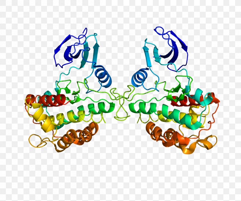 RPS6KA1 Protein Kinase Ribosomal S6 Kinase Ribosome, PNG, 1200x1000px, Protein, Art, Body Jewelry, Enzyme, Enzyme Assay Download Free