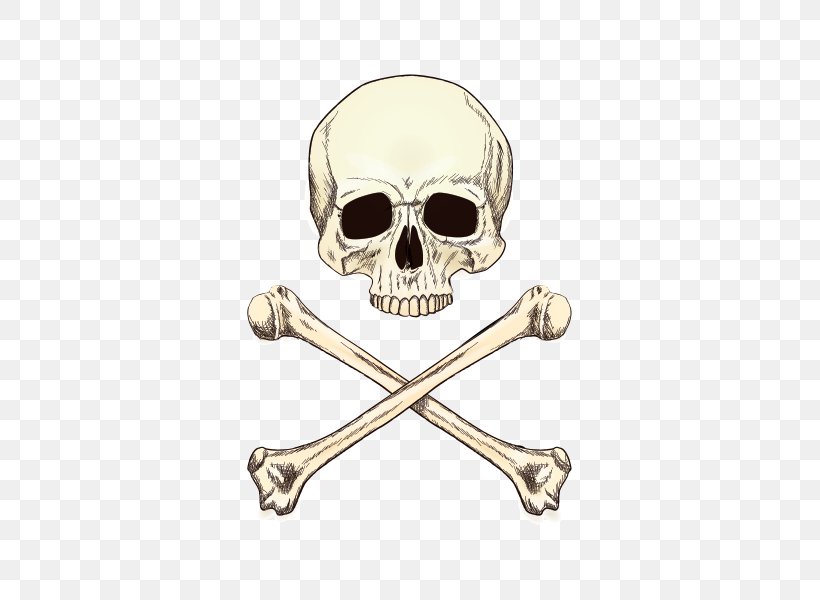 Skull Stock Illustration Drawing Vector Graphics, PNG, 600x600px, Skull, Art, Bone, Drawing, Photography Download Free