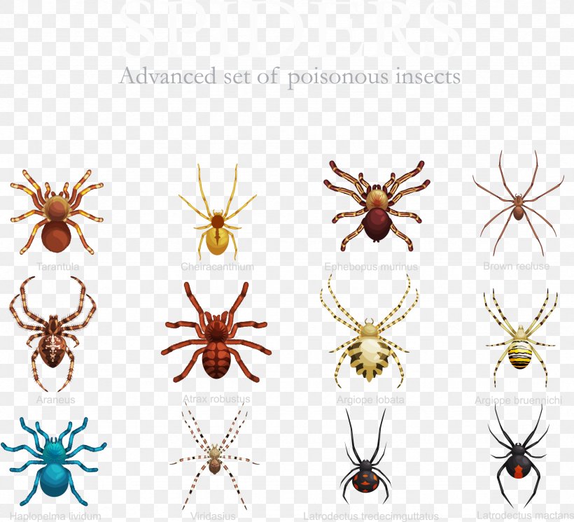 Spider Insect Stock Illustration, PNG, 2355x2144px, Spider, Cartoon, Drawing, Insect, Insect Collecting Download Free