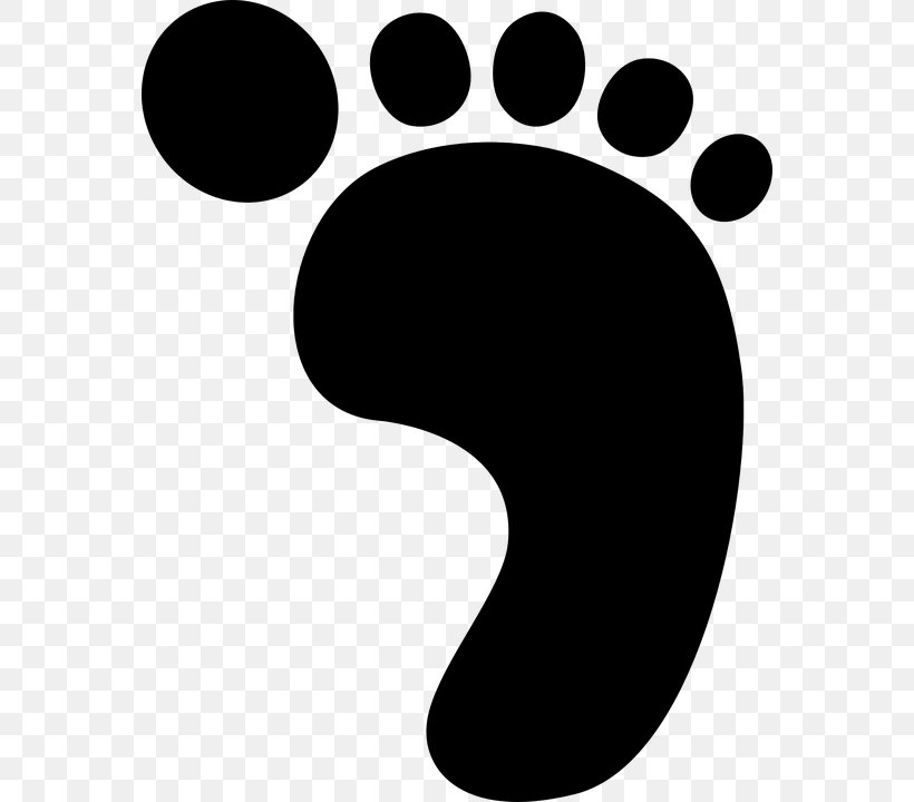 Dinosaur Footprints Reservation Clip Art, PNG, 566x720px, Footprint, Black, Black And White, Dinosaur Footprints Reservation, Foot Download Free