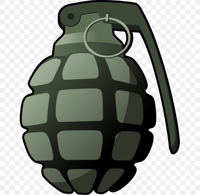 Grenade Clip Art Bomb Cartoon Drawing, PNG, 657x800px, Grenade, Amphibian, Bomb, Cartoon, Drawing Download Free