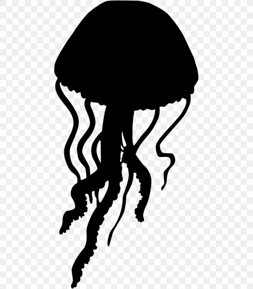 Lion's Mane Jellyfish Stencil Silhouette, PNG, 1050x1200px, Jellyfish, Animal, Art, Black, Black And White Download Free