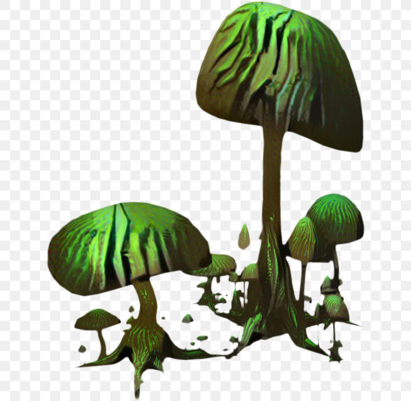 Mushroom Clip Art Green Illustration Image, PNG, 636x800px, Mushroom, Botany, Drawing, Forest, Forest Green Download Free