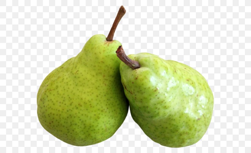 Transparency Asian Pear Fruit Purée, PNG, 621x500px, Asian Pear, Food, Fruit, Fruit Tree, Image File Formats Download Free