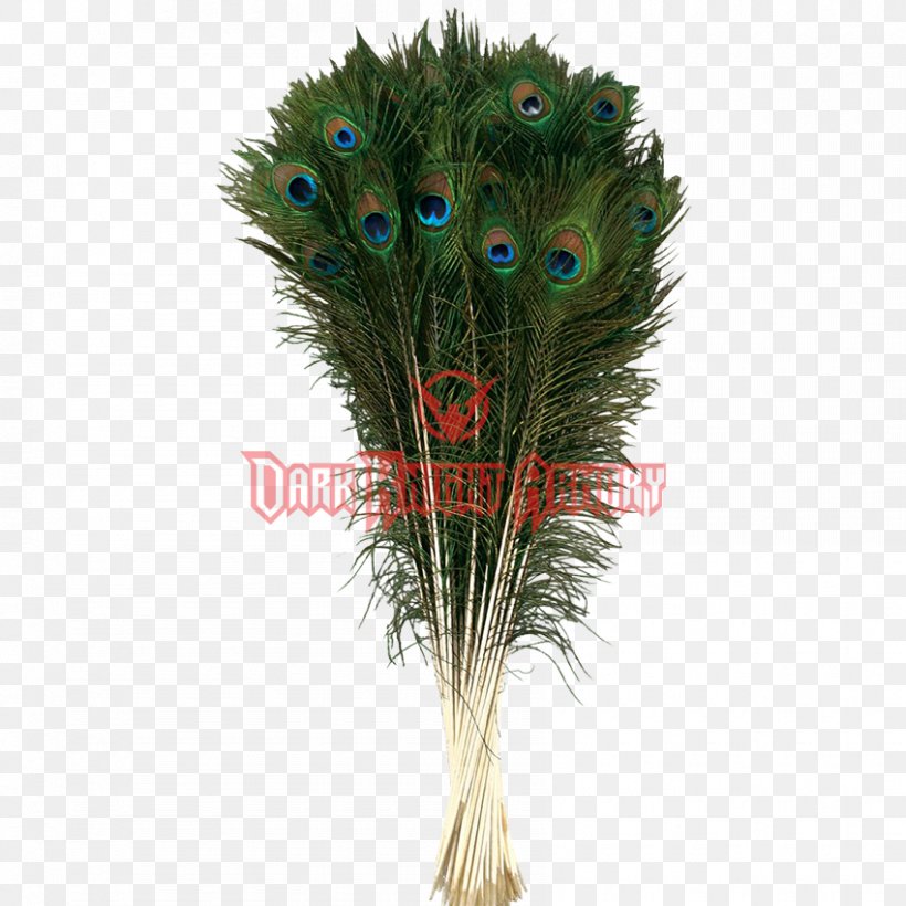 Feather Peafowl Tail Fur Hair, PNG, 850x850px, Feather, Amazoncom, Arecales, Centimeter, Flowerpot Download Free