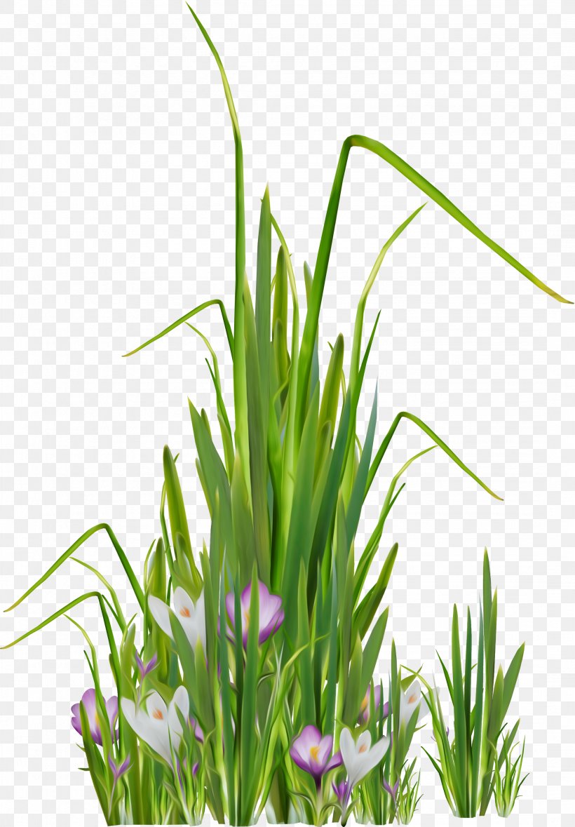 Lawn Meadow Clip Art, PNG, 2158x3105px, Lawn, Aquarium Decor, Commodity, Easter, Easter Egg Download Free