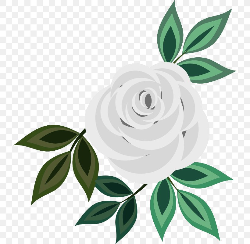 Rose Clip Art, PNG, 732x800px, Rose, Autocad Dxf, Branch, Cut Flowers, Floral Design Download Free