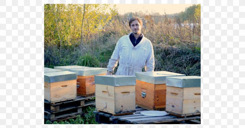 Apiary Beekeeper, PNG, 1200x630px, Apiary, Beekeeper Download Free